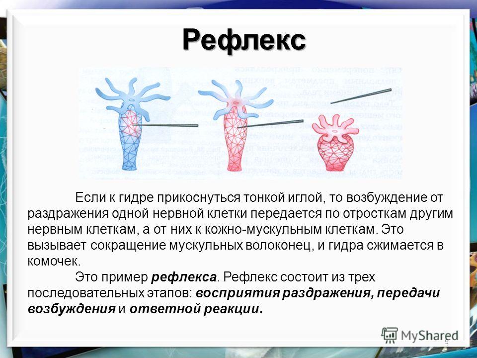 Пользователь не найден кракен что делать